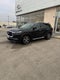 2024 INFINITI QX60 Sensory