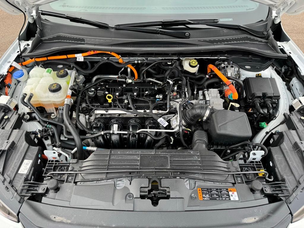 2023 Ford Escape Hybrid ST-Line Elite