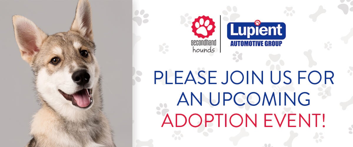 Secondhand Hounds Partnership at Lupient Automotive Group, Inc. in Minneapolis MN