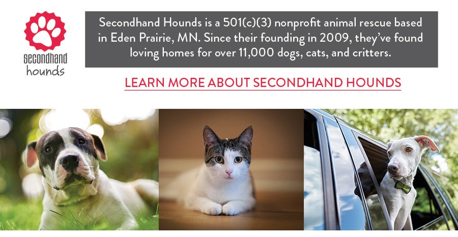 Secondhand Hounds Partnership at Lupient Automotive Group, Inc. in Minneapolis MN